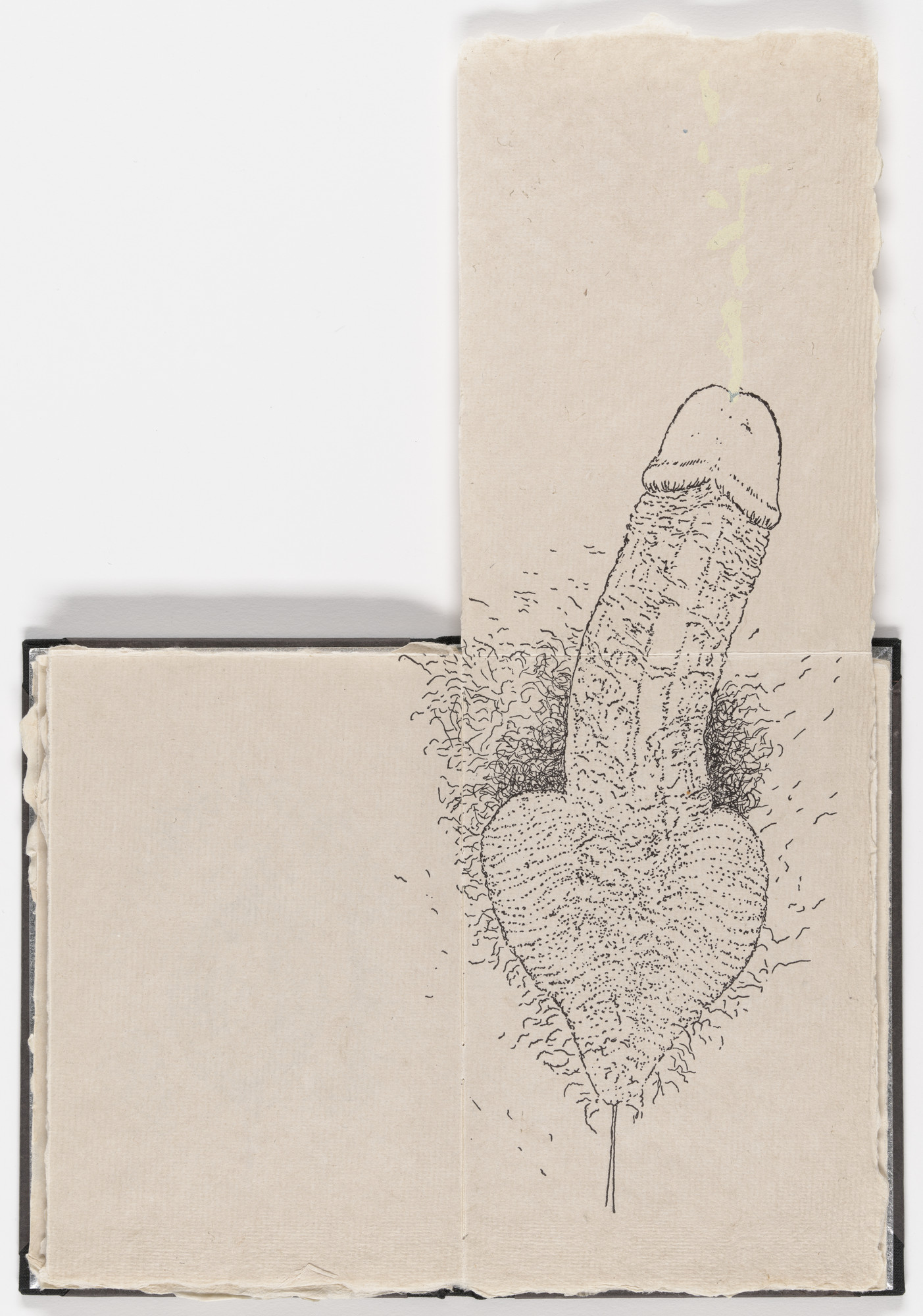 Kiki Smith. Fold-out plate (folios 12 verso and 13) from Fountainhead