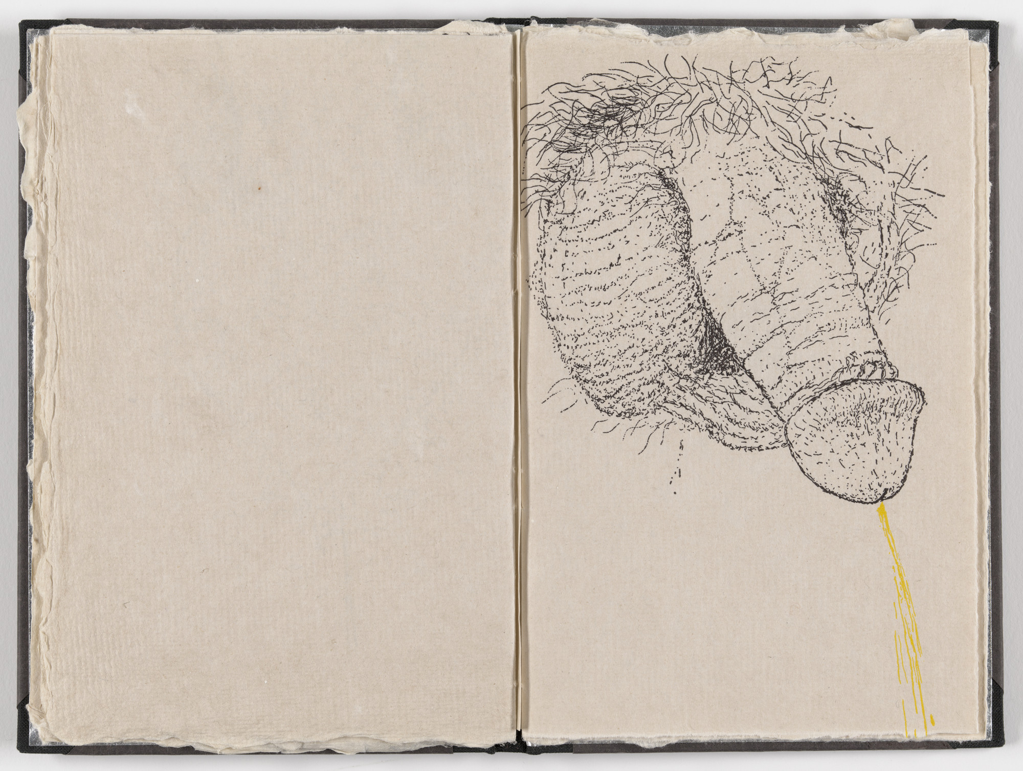 Kiki Smith. Plate (folio 14) from Fountainhead