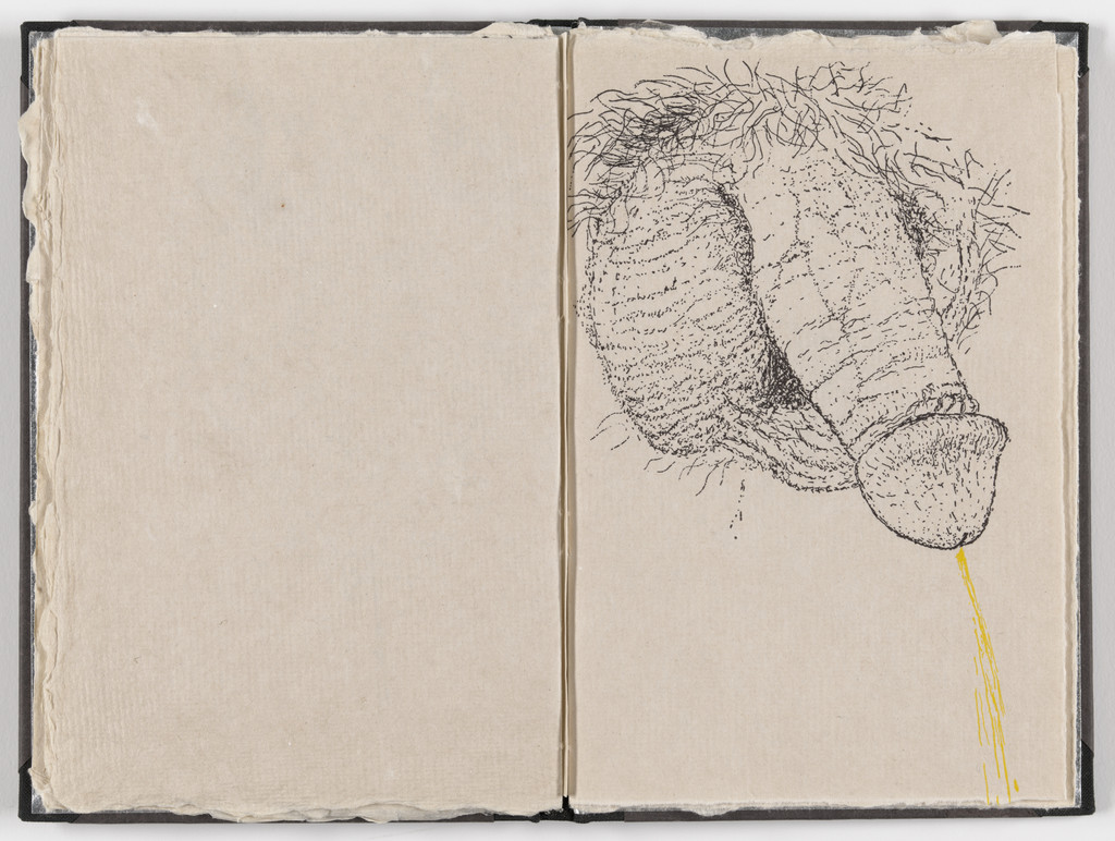 Plate (folio 14) from Fountainhead, Kiki Smith, 1991