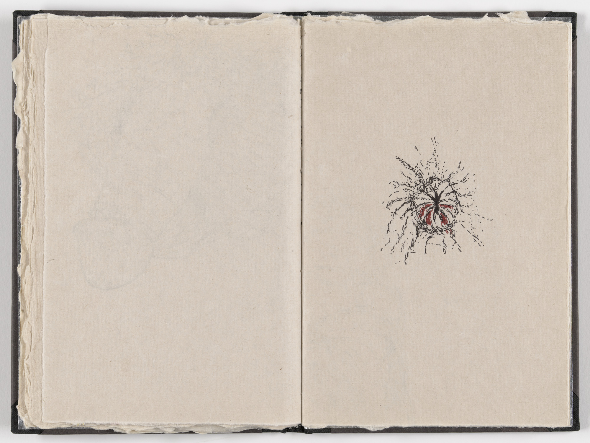 Kiki Smith. Plate (folio 15) from Fountainhead