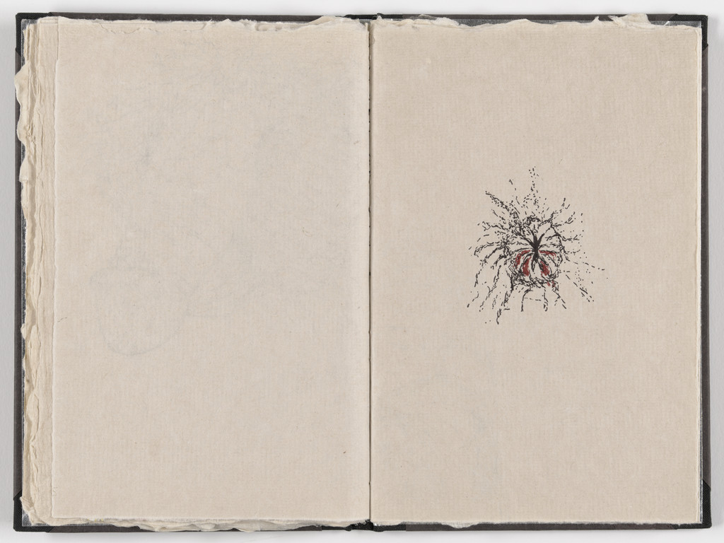 Plate (folio 15) from Fountainhead