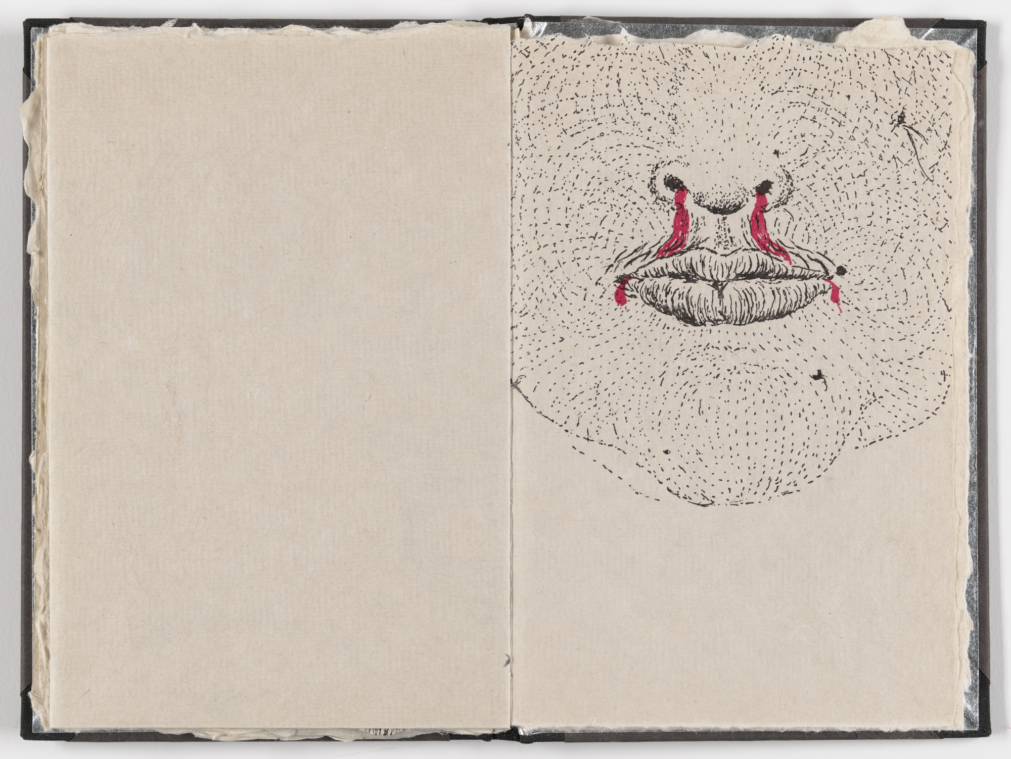 Kiki Smith. Plate (folio 17) from Fountainhead