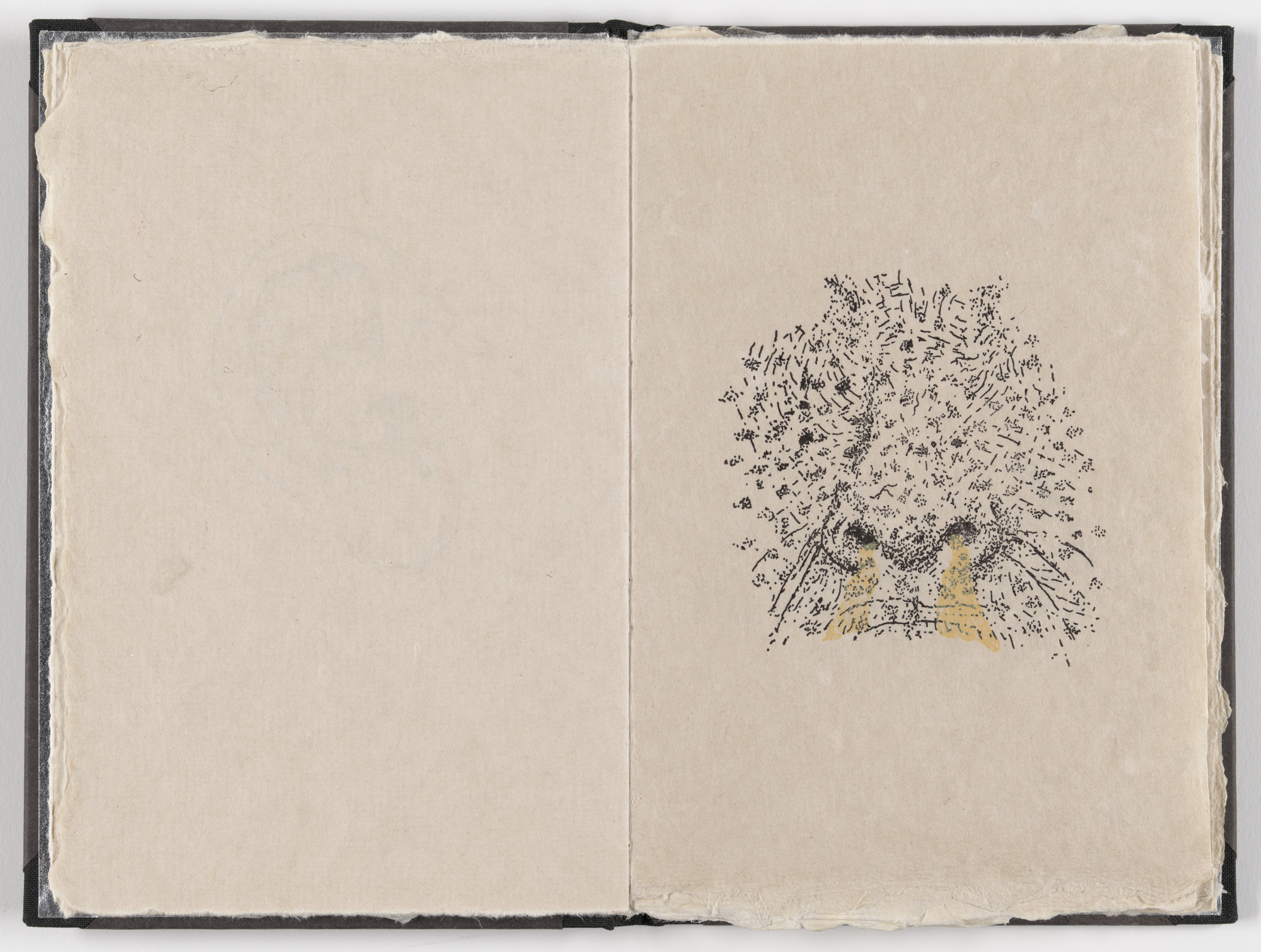 Kiki Smith. Plate (folio 6) from Fountainhead