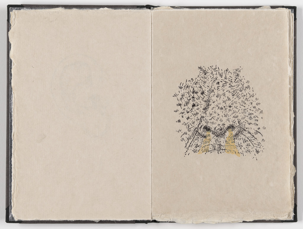 Plate (folio 6) from Fountainhead, Kiki Smith, 1991