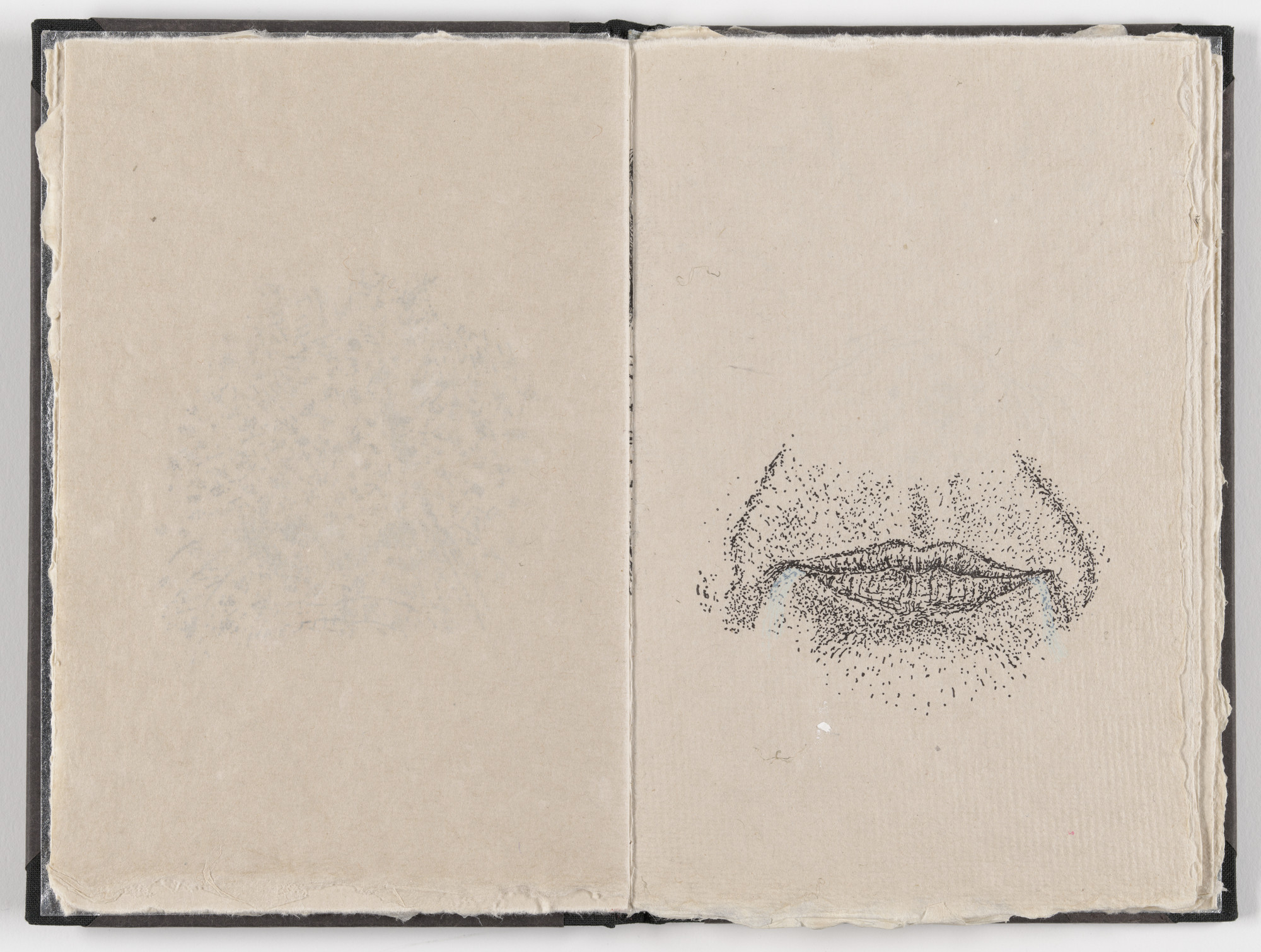 Kiki Smith. Plate (folio 7) from Fountainhead