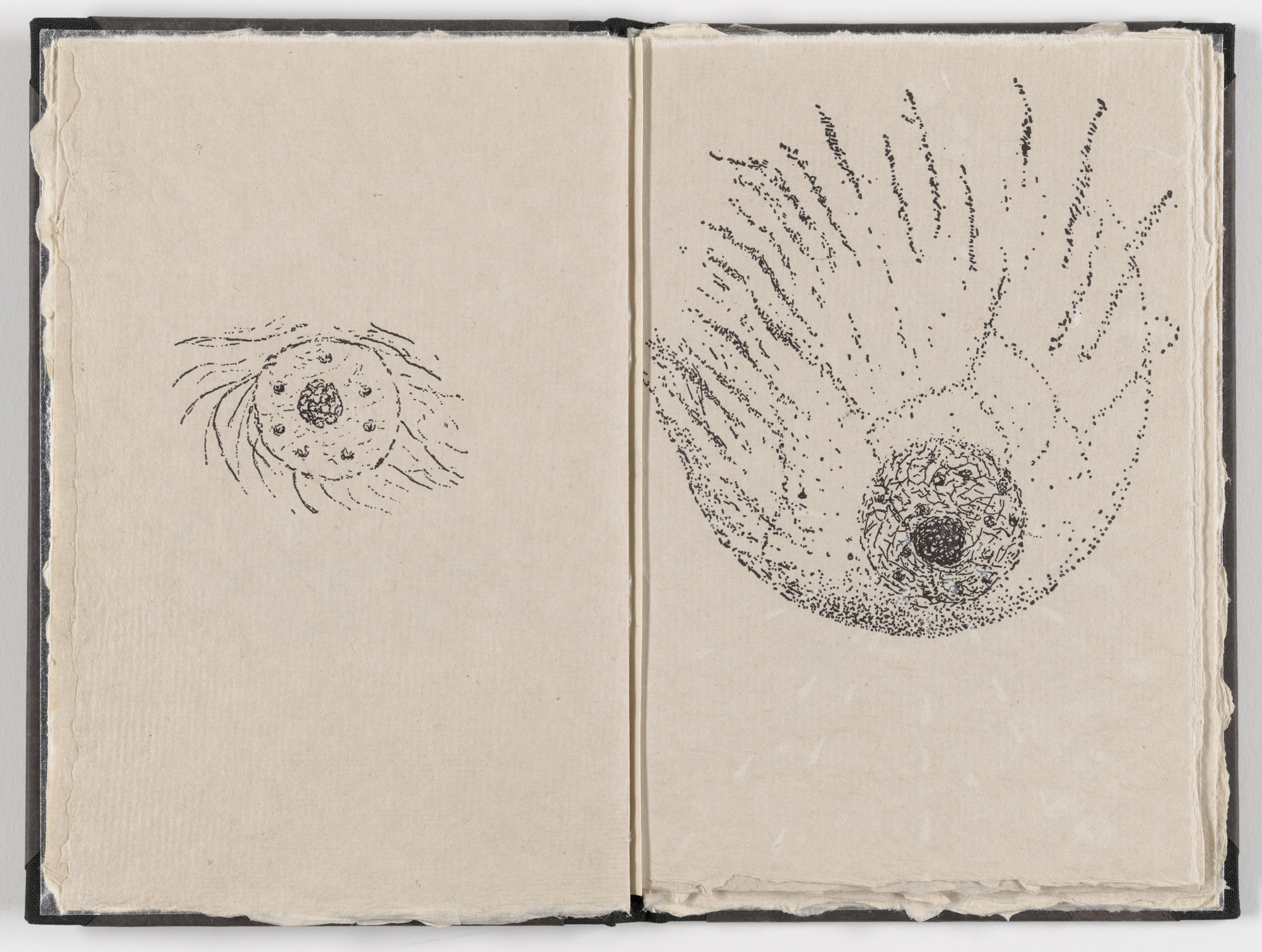 Kiki Smith. Double page plate (folios 7 verso and 8) from Fountainhead