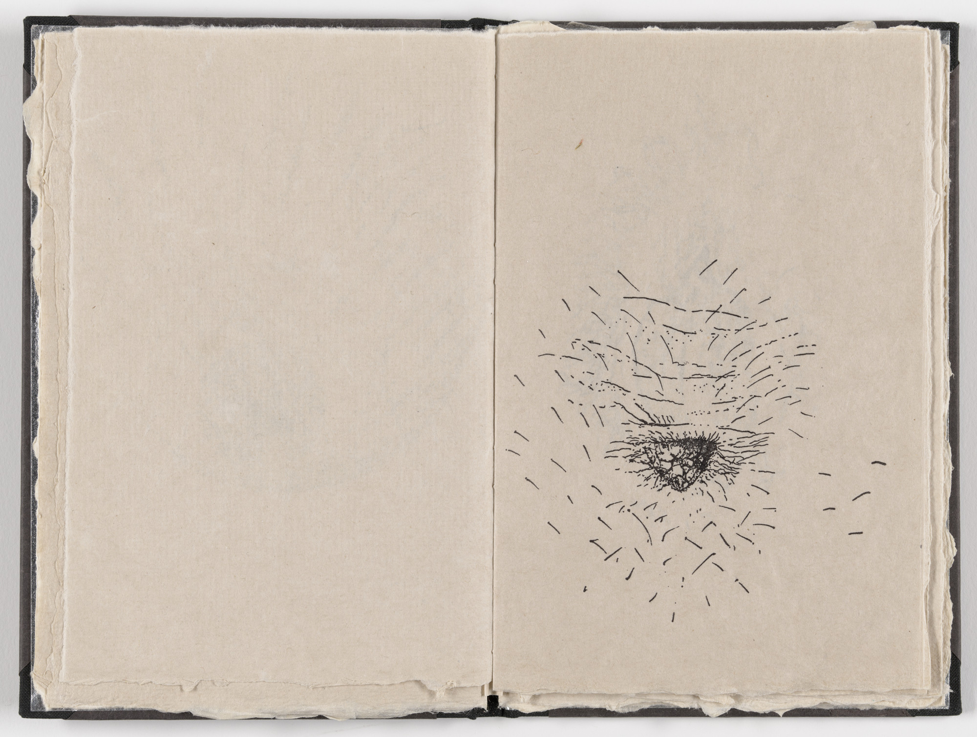Kiki Smith. Plate (folio 9) from Fountainhead