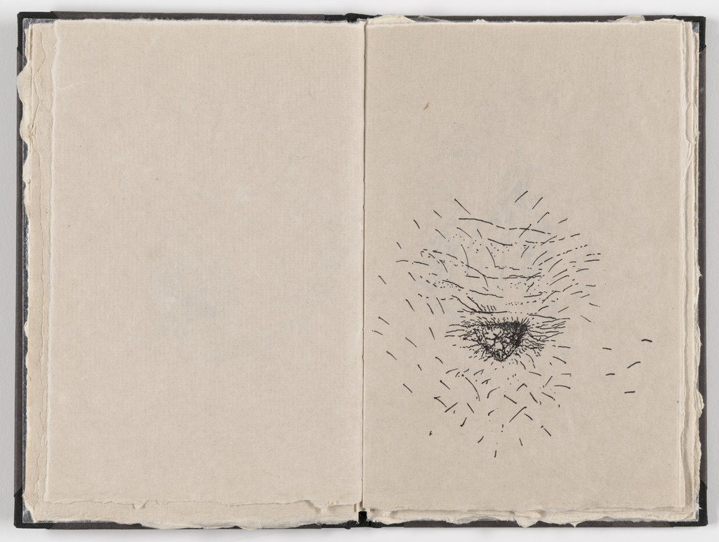 Plate (folio 9) from Fountainhead