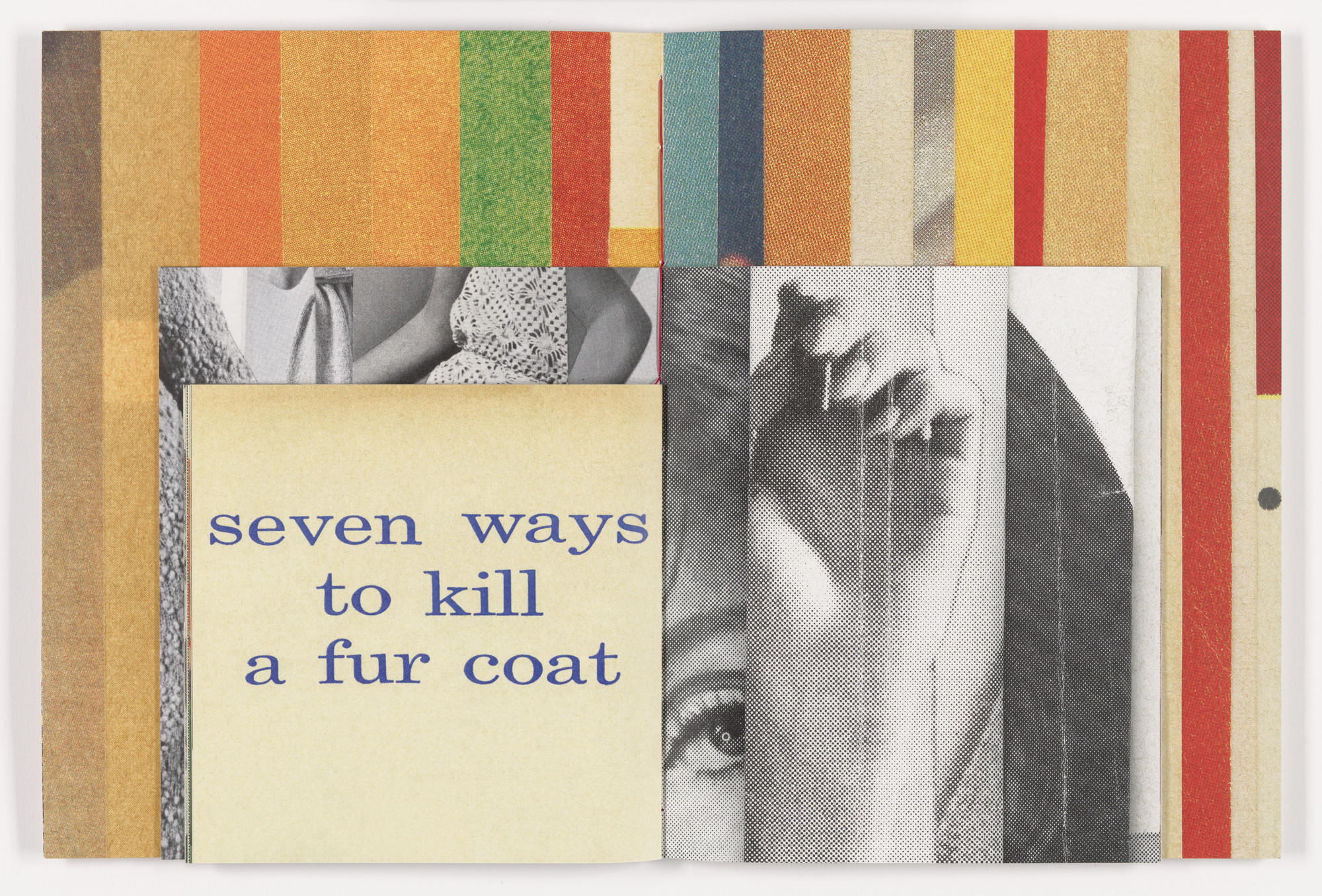 Erica Baum. Fabrications. 2023