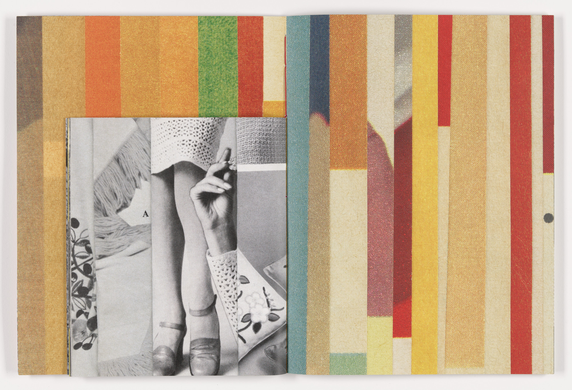 Erica Baum. Fabrications. 2023