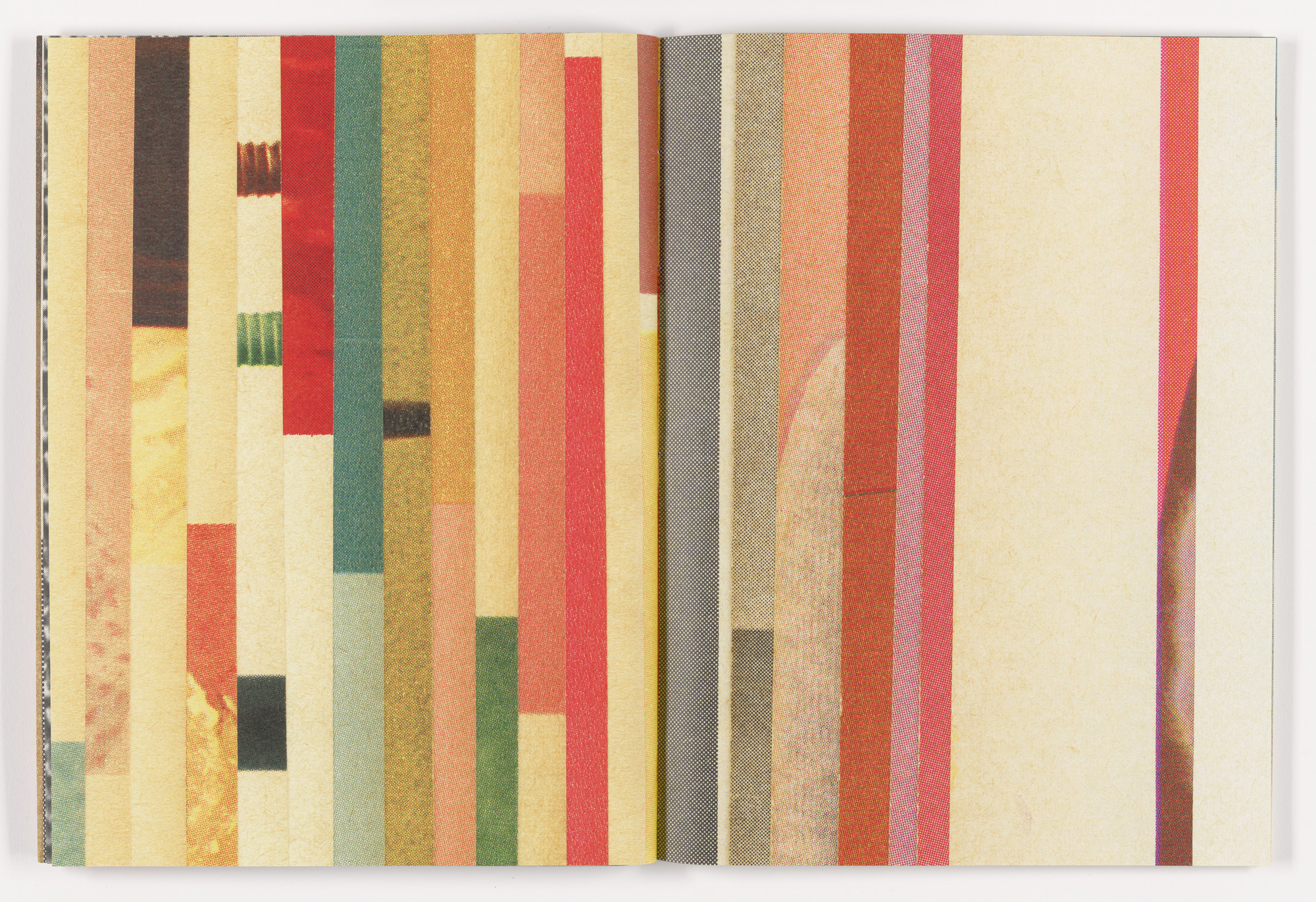 Erica Baum. Fabrications. 2023