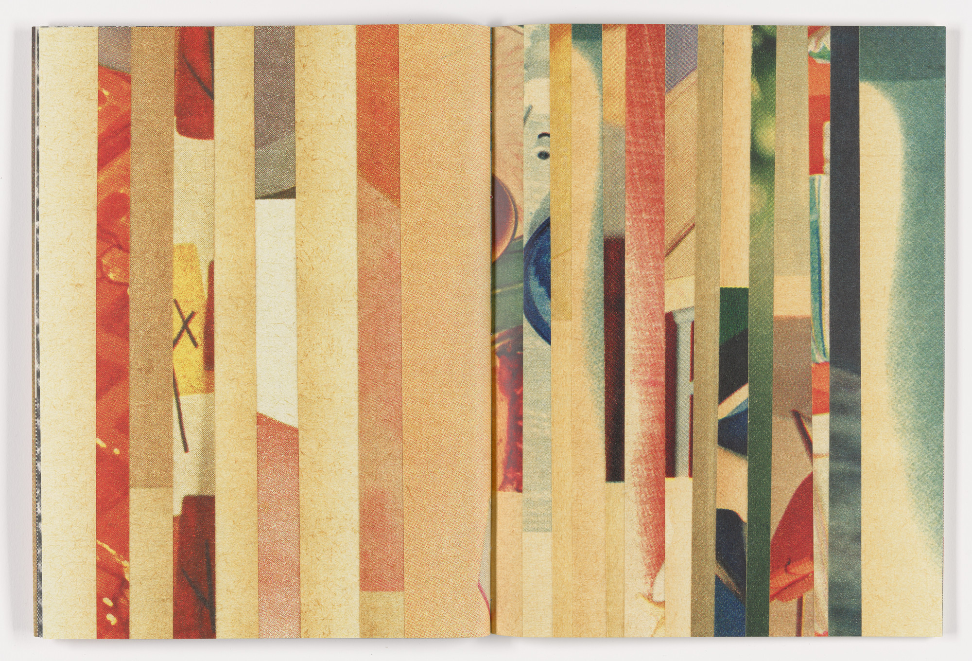 Erica Baum. Fabrications. 2023
