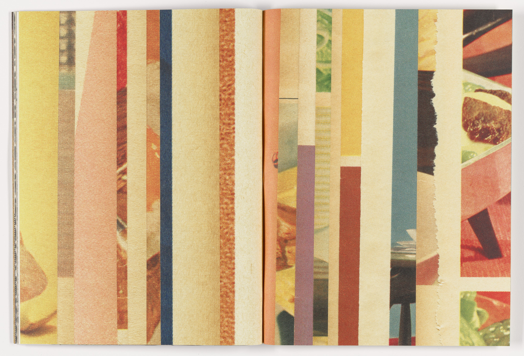 Erica Baum. Fabrications. 2023