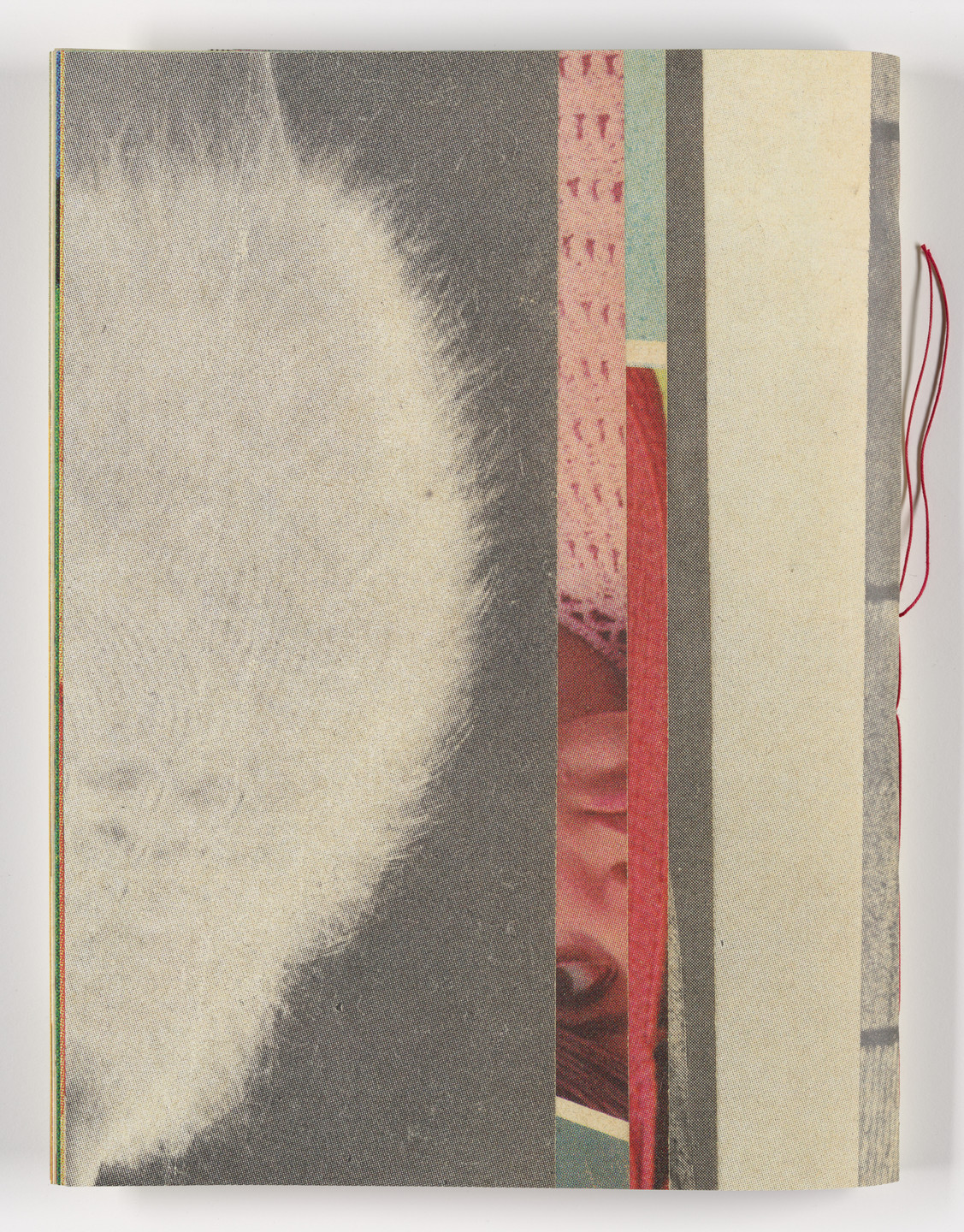 Erica Baum. Fabrications. 2023