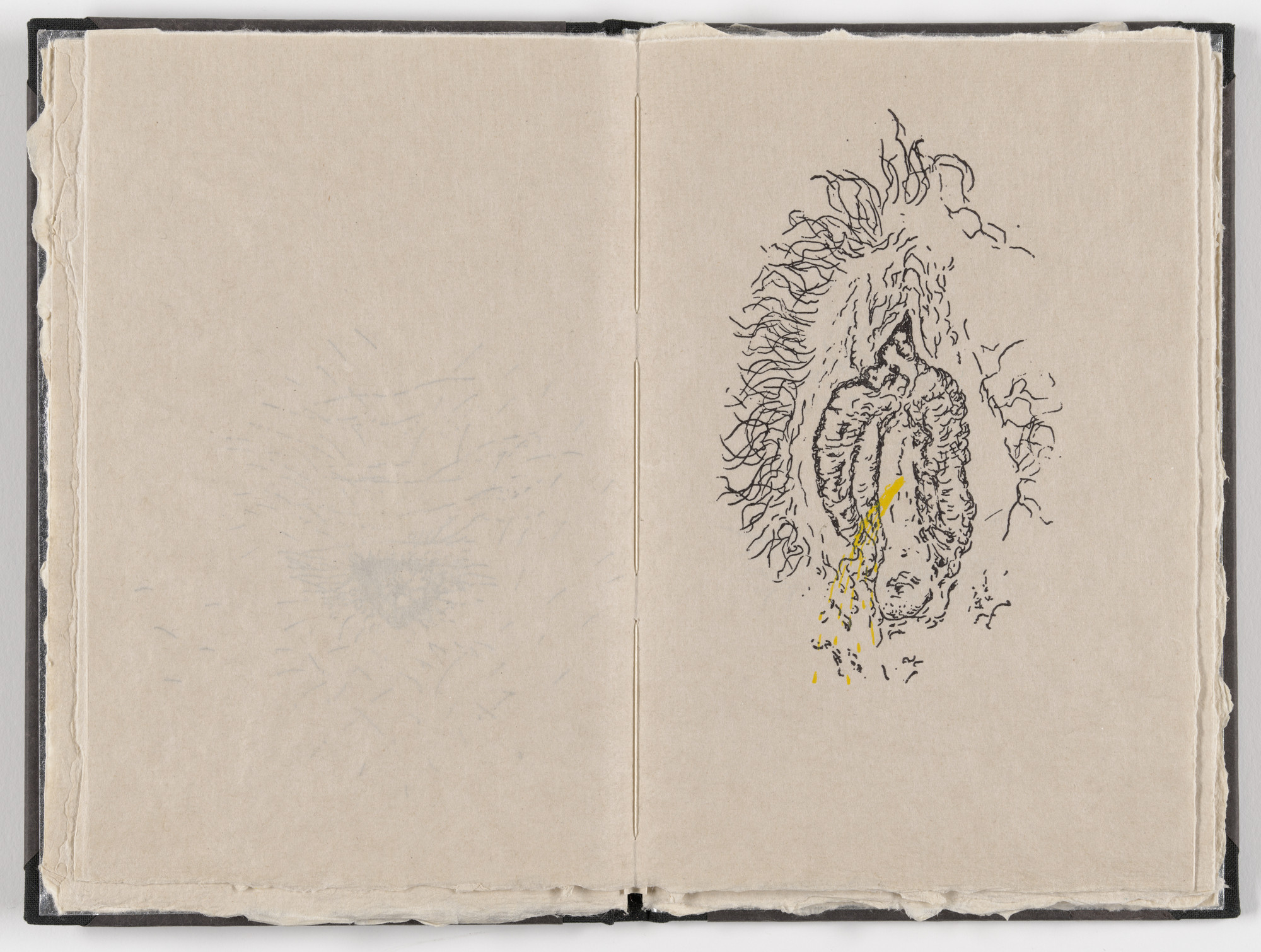 Kiki Smith. Plate (folio 10) from Fountainhead