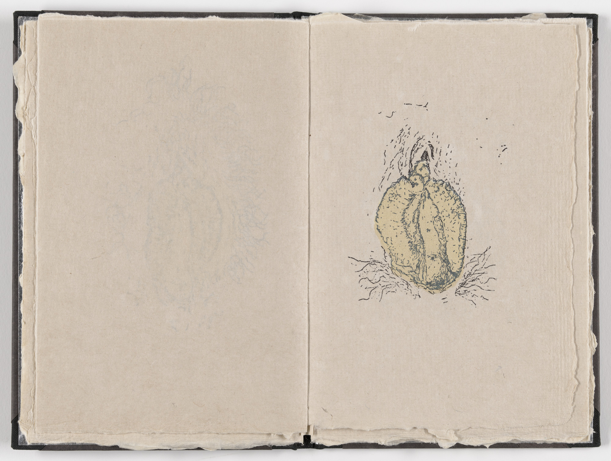 Kiki Smith. Plate (folio 11) from Fountainhead
