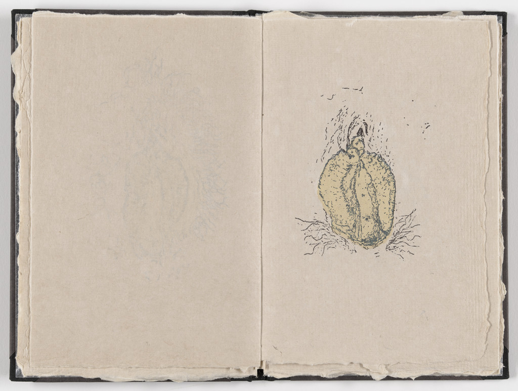 Plate (folio 11) from Fountainhead