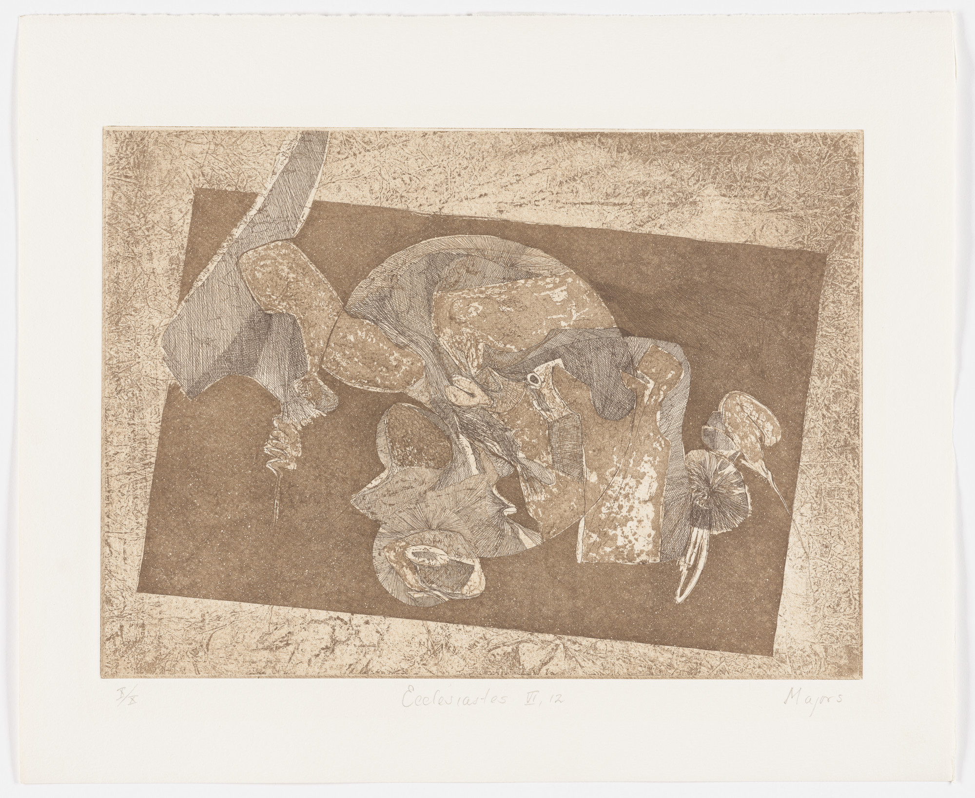 William Majors. Ecclesiastes VI:12 (plate, folio 20) from Etchings from Ecclesiastes