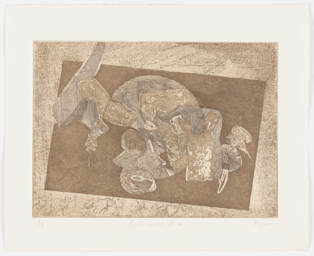 Ecclesiastes VI:12 (plate, folio 20) from Etchings from Ecclesiastes
