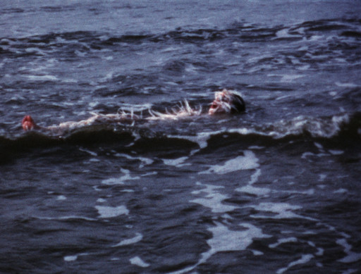 Ana Mendieta. Ocean Bird (Washup). 1974