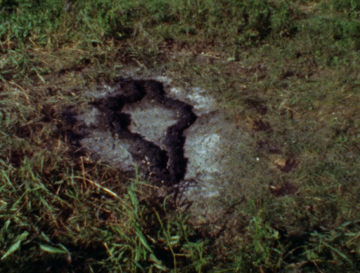 Ana Mendieta. Untitled: Silueta Series. 1978