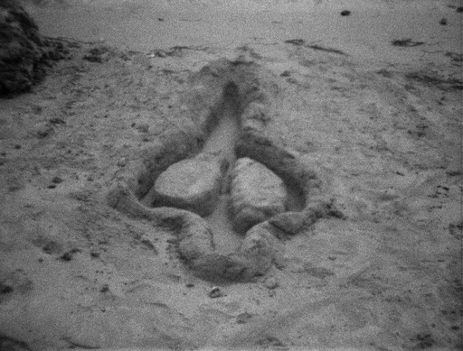Ana Mendieta. Untitled. 1981