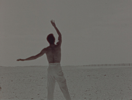 Shirley Clarke. Dance in the Sun