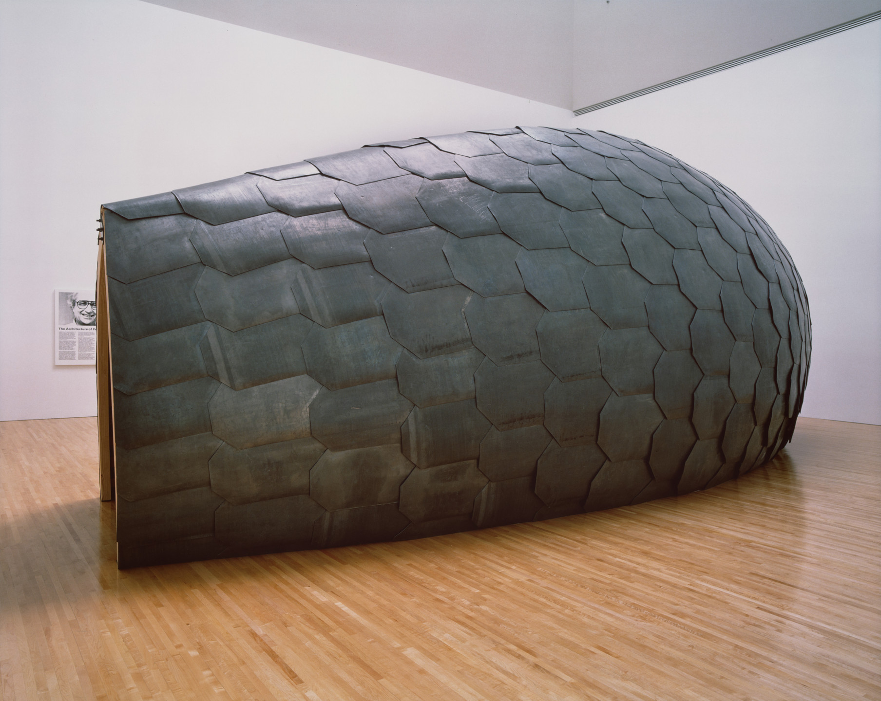 Allan Sekula. &#34;Lead Fish.&#34; Variant of a conference room designed for the Chiat/Day advertising agency. Architect: Frank Gehry. Installation at the Museum of Contemporary Art, Los Angeles from the series Fish Story. May 1988