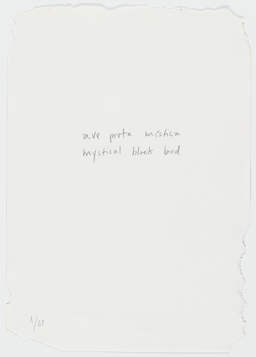 A white paper with torn edges has handwritten text in the center that reads "ave preta mística mystical black bird" in pencil. The bottom left corner has small handwritten text, "1/61." This is an AI generated description. To give feedback, email ai@moma.org.