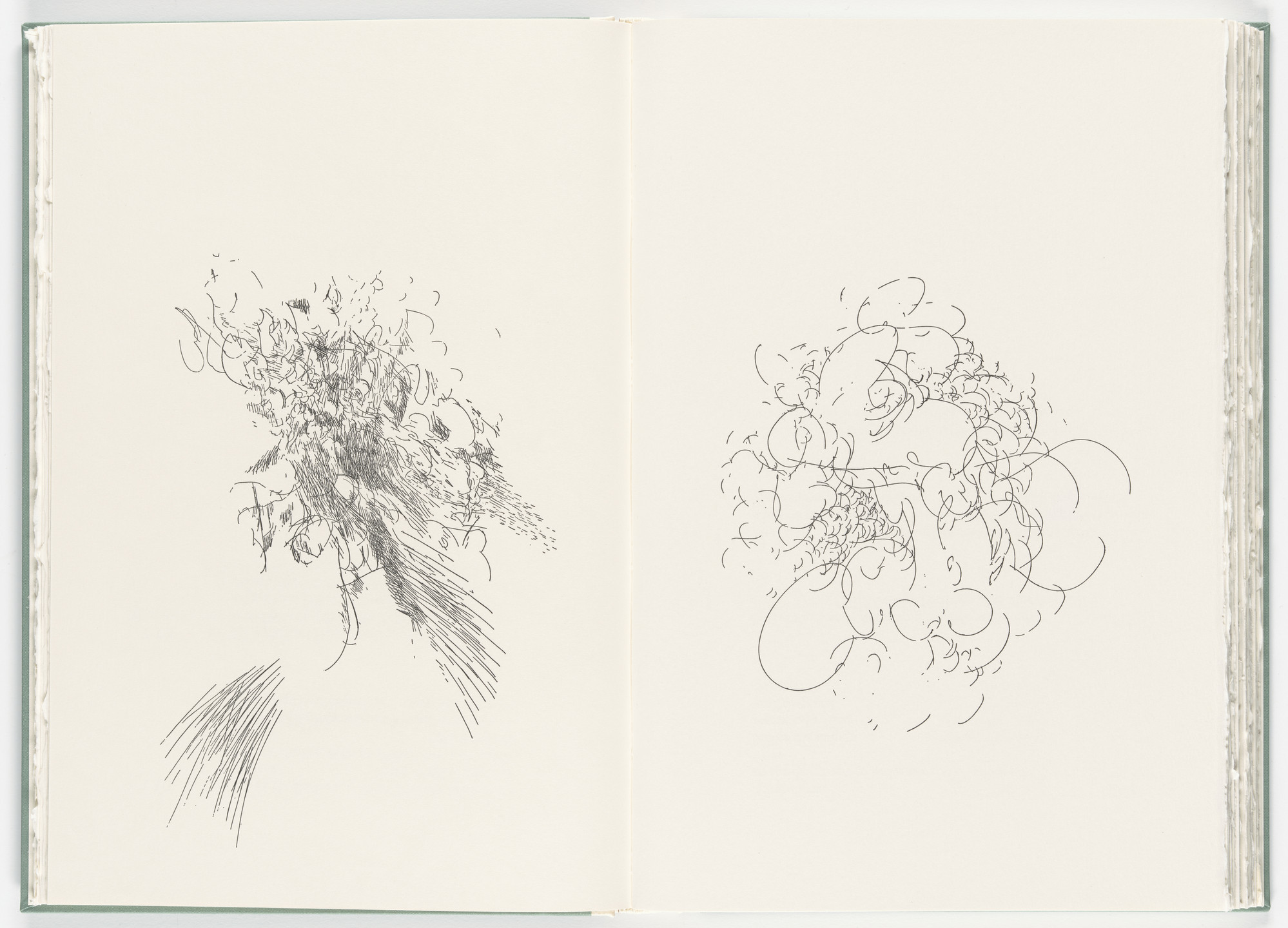 Julie Mehretu. Untitled (plate, folio 49-50) from Poetry of Sappho. 2011