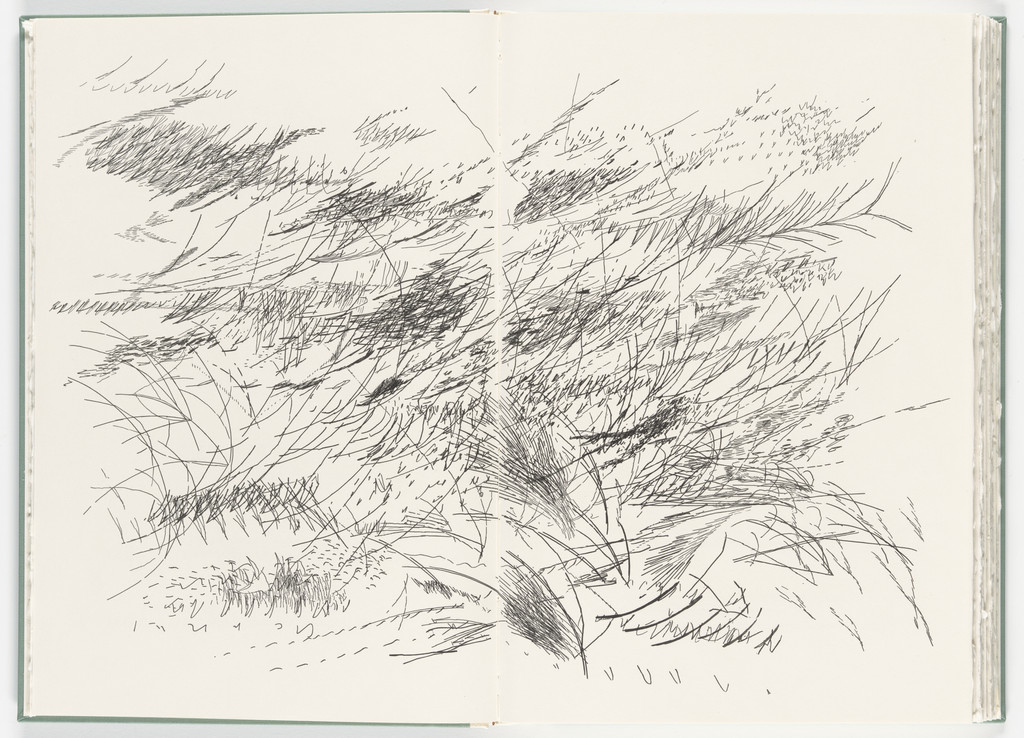 Untitled (plate, folio 55-56) from Poetry of Sappho