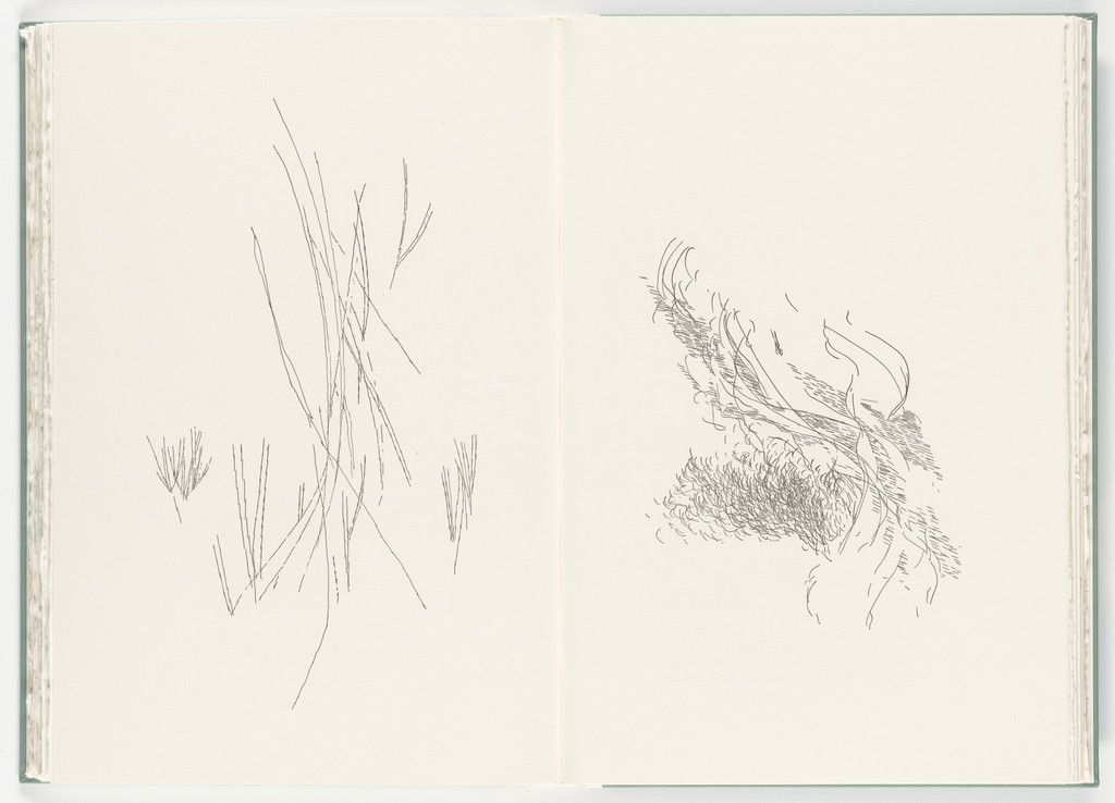 Untitled (plate, folio 21-22) from Poetry of Sappho