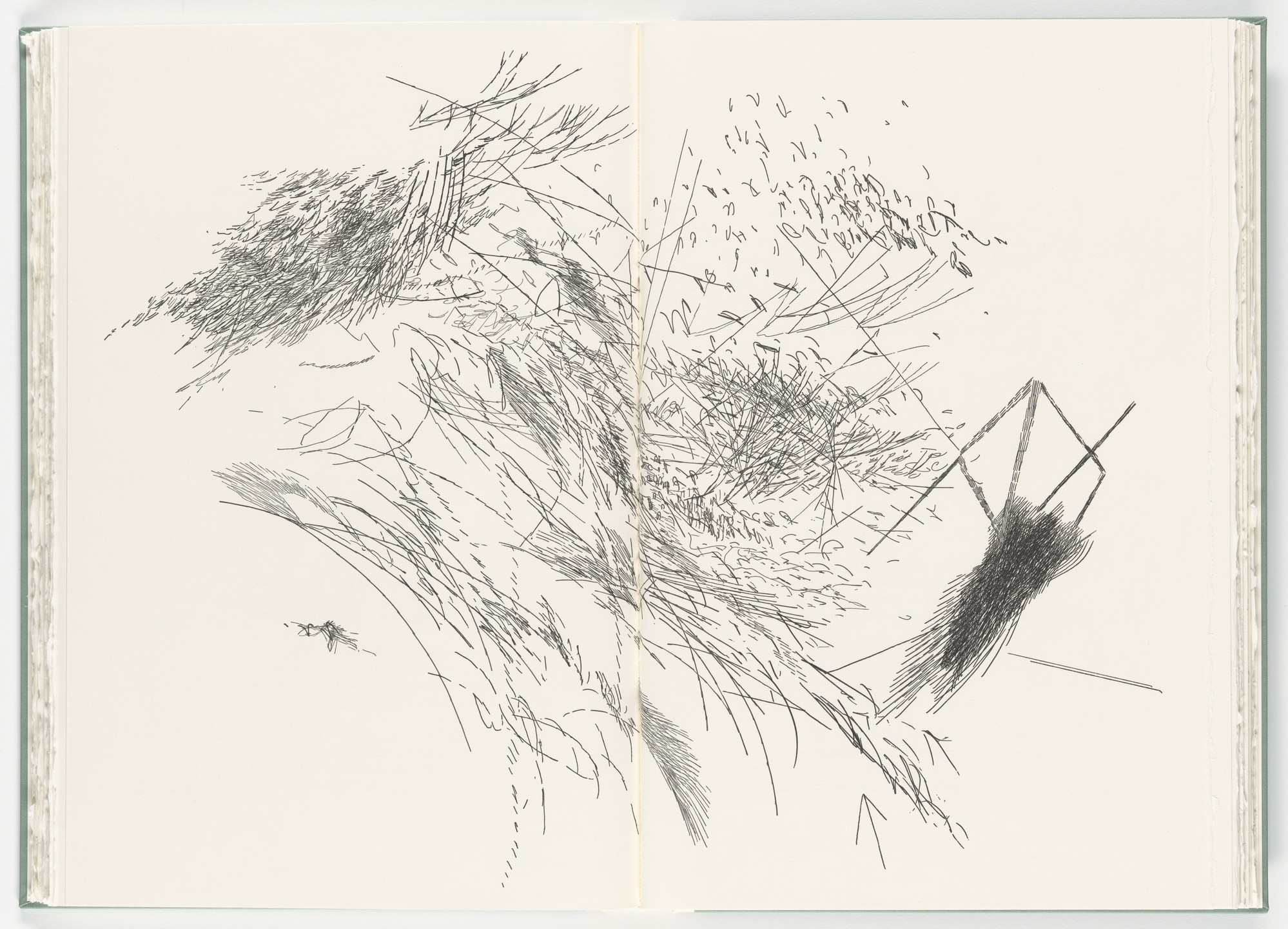 Julie Mehretu. Untitled (plate, folio 27-28) from Poetry of Sappho. 2011