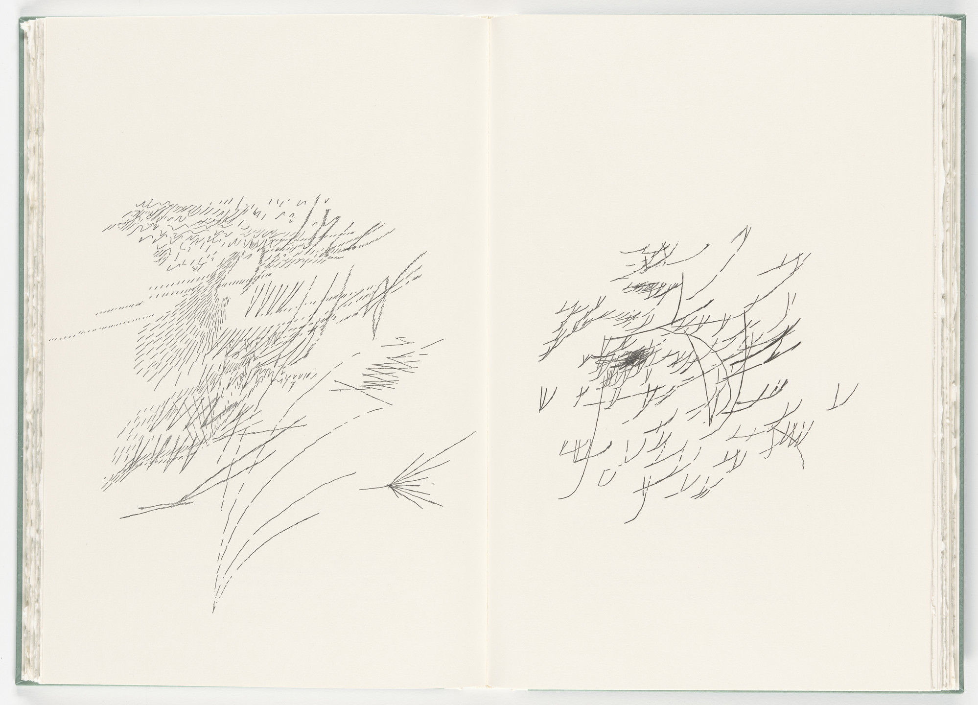Julie Mehretu. Untitled (plate, folio 29-30) from Poetry of Sappho. 2011