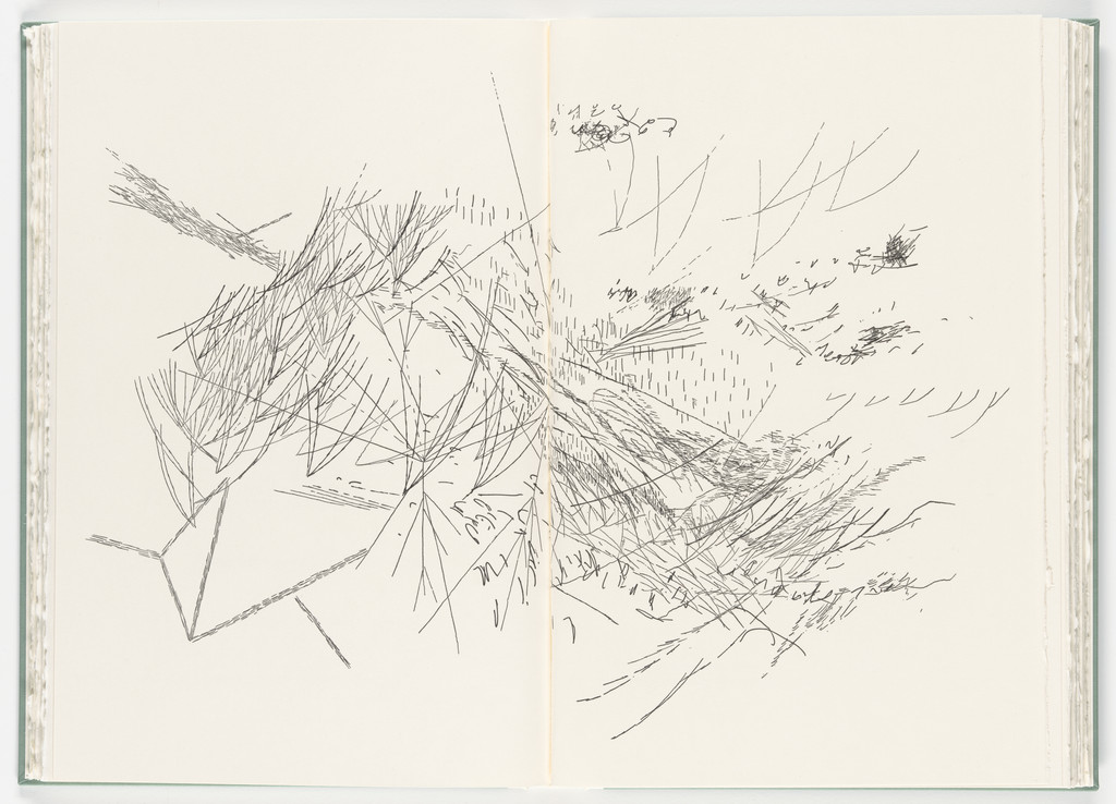 Untitled (plate, folio 35-36) from Poetry of Sappho