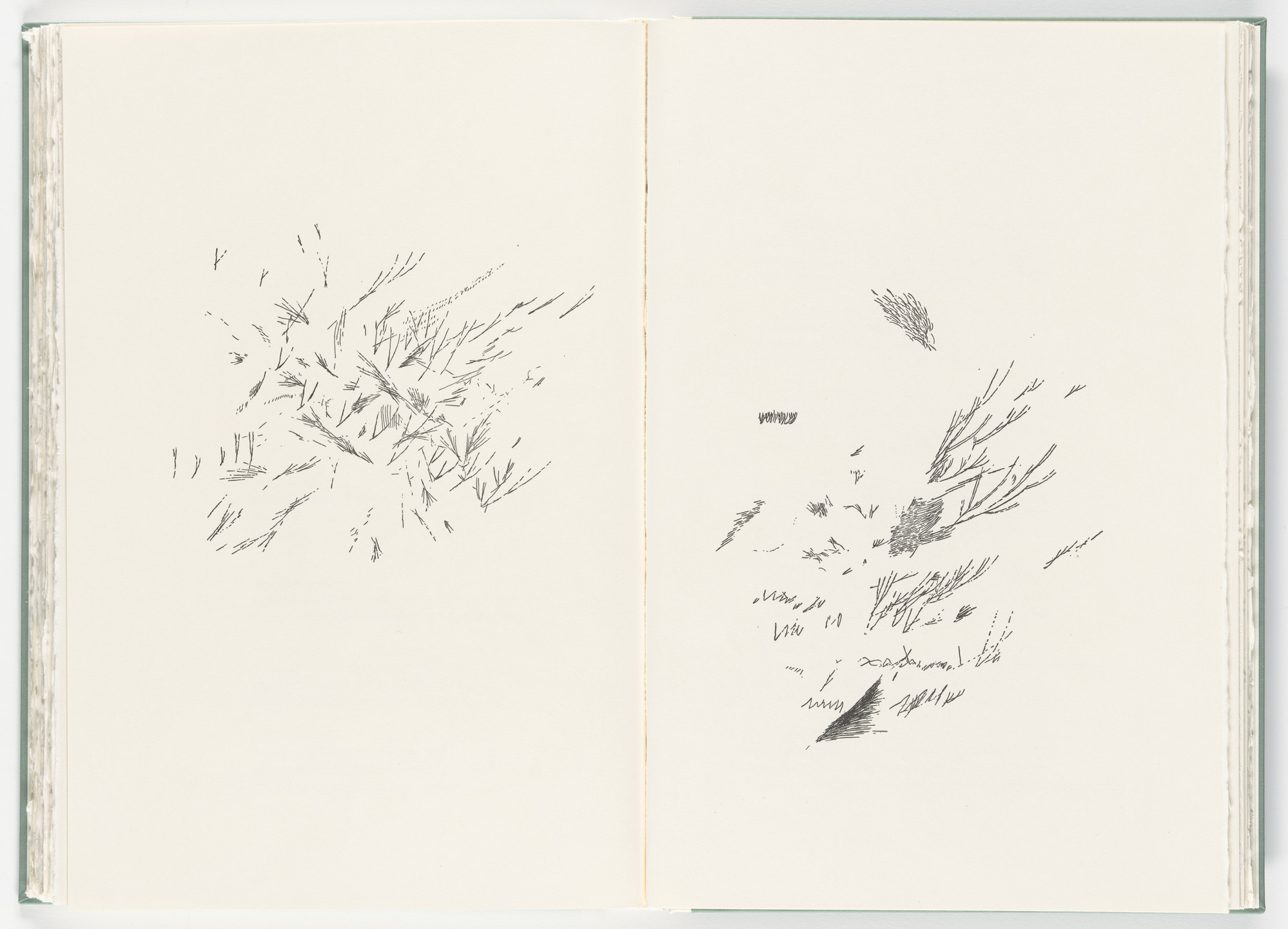 Julie Mehretu. Untitled (plate, folio 19-20) from Poetry of Sappho. 2011