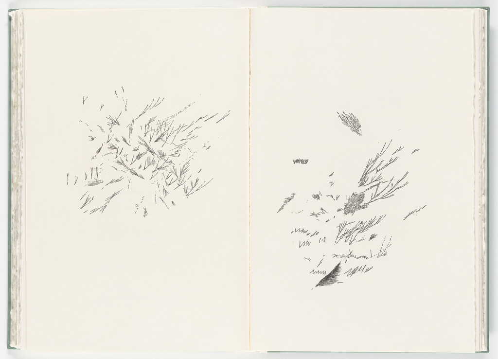 Untitled (plate, folio 19-20) from Poetry of Sappho