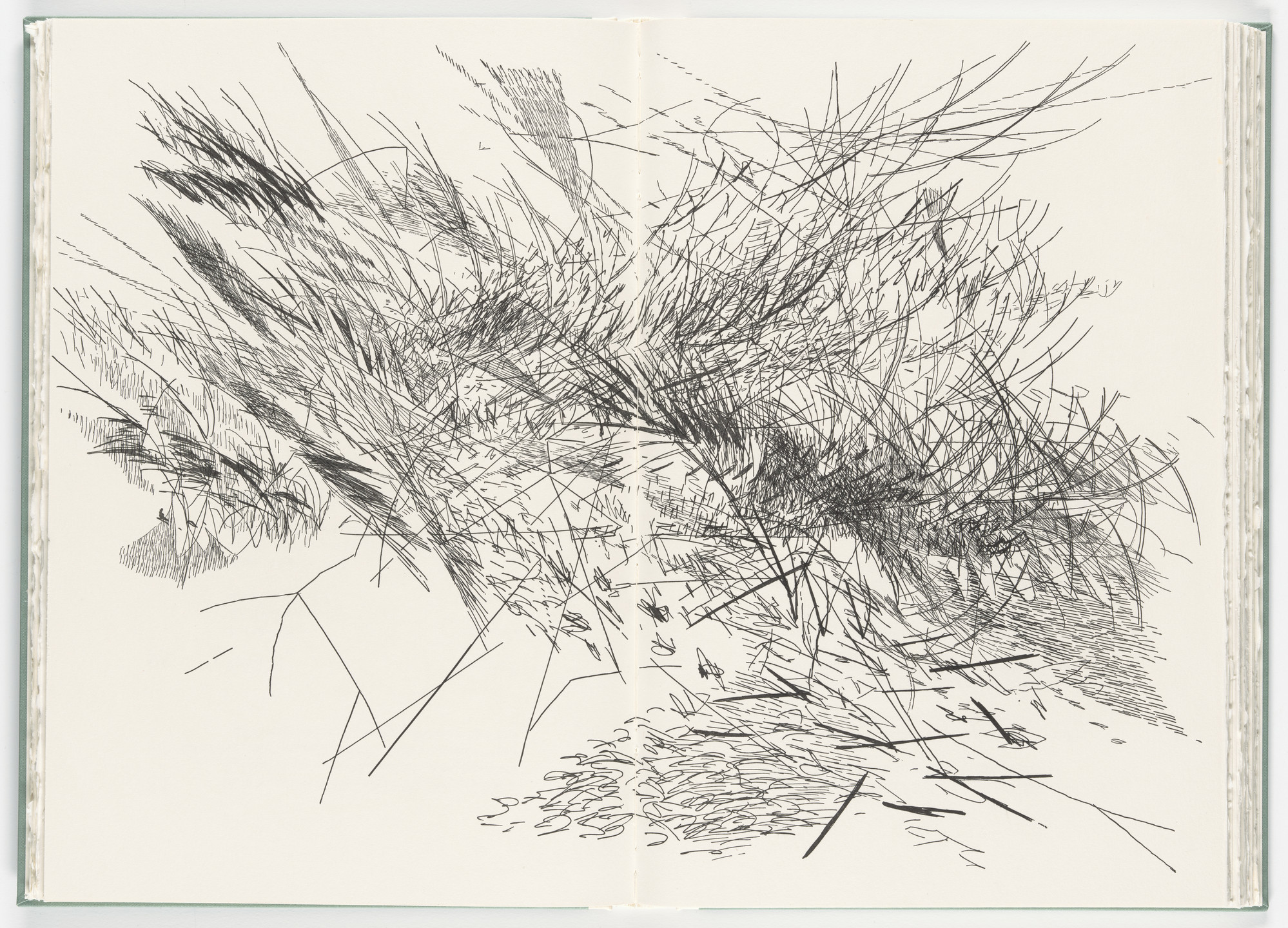 Julie Mehretu. Untitled (plate, folio 39-40) from Poetry of Sappho. 2011