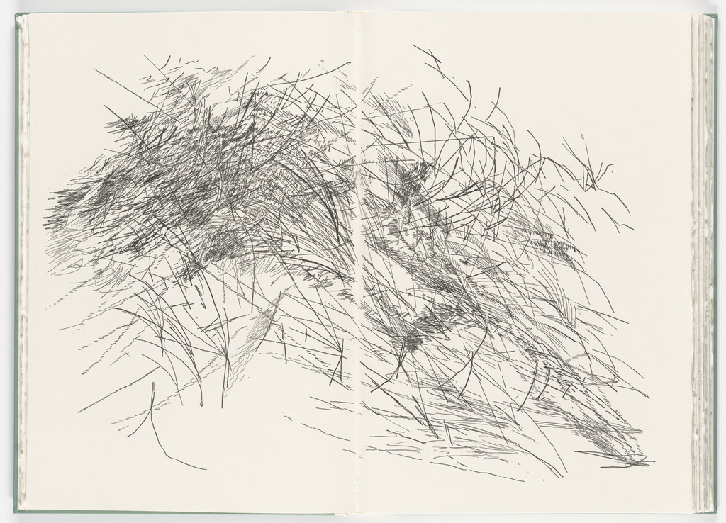 Untitled (plate, folio 47-48) from Poetry of Sappho
