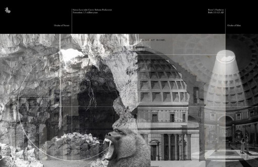 The Anthropocene Museum - Baboon Parliament I