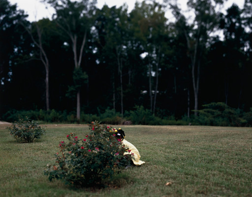 RaMell Ross. Yellow