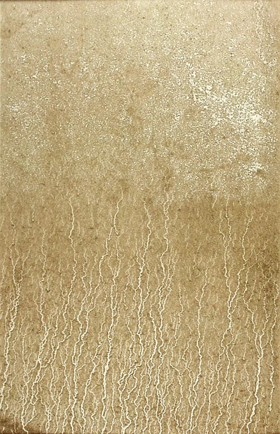 River Avon Mud Drawing