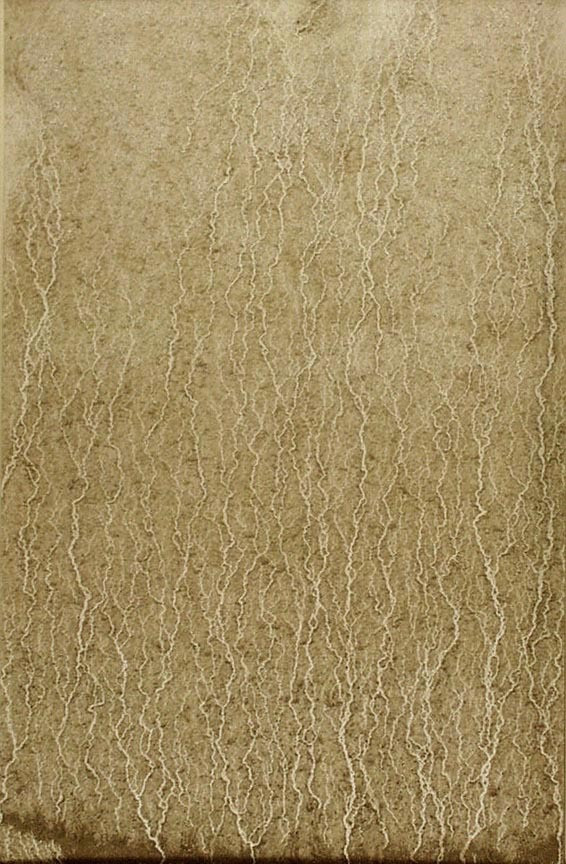 Richard Long. River Avon Mud Drawing