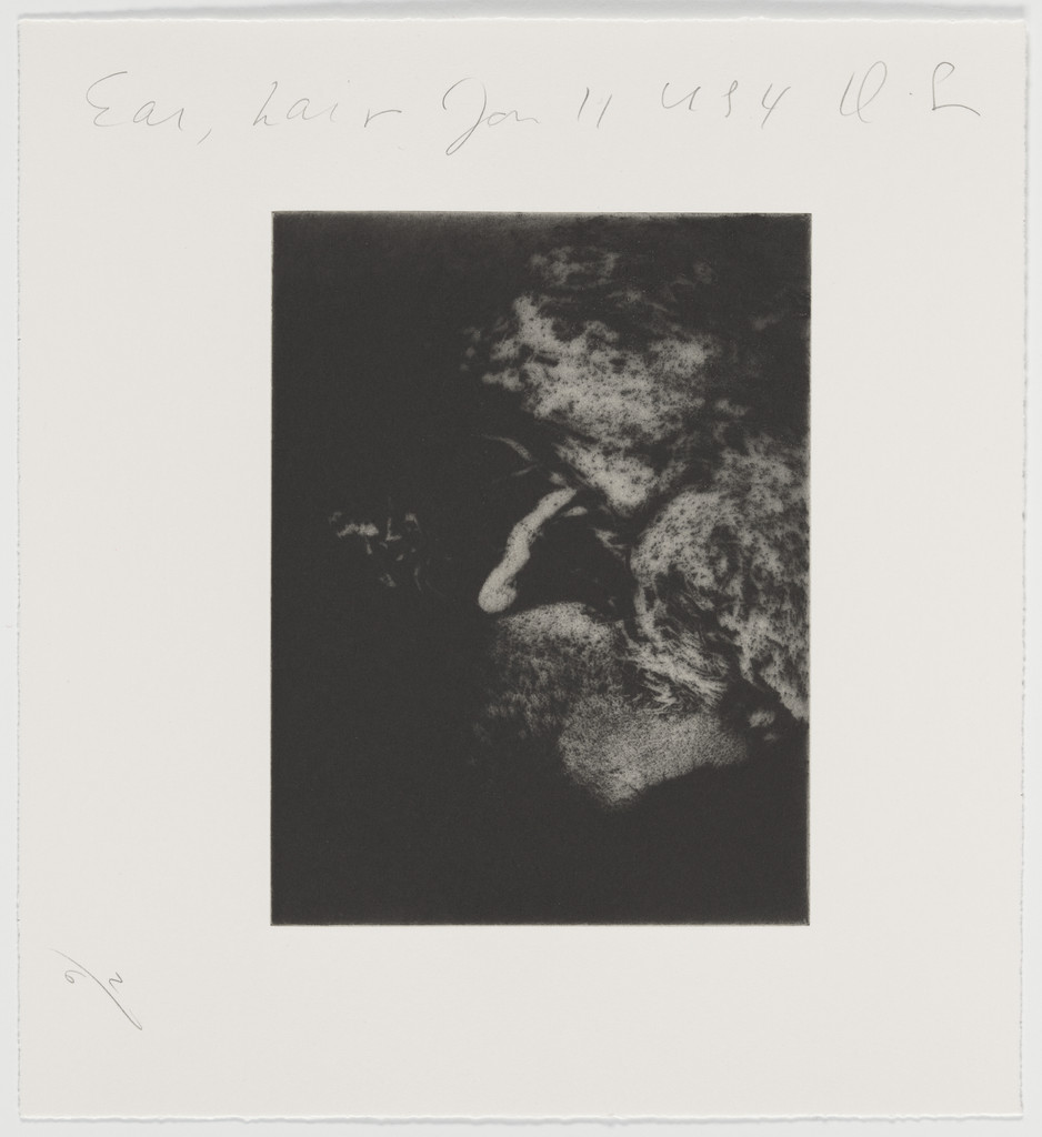 Body Parts, Donald Sultan, 1994