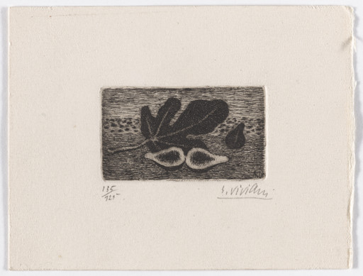 Leaf, Fig, and Sea (Foglia, fico e mare) from Six Etchings by Giuseppe Viviani (Sei Incisioni di Giuseppe Viviani)