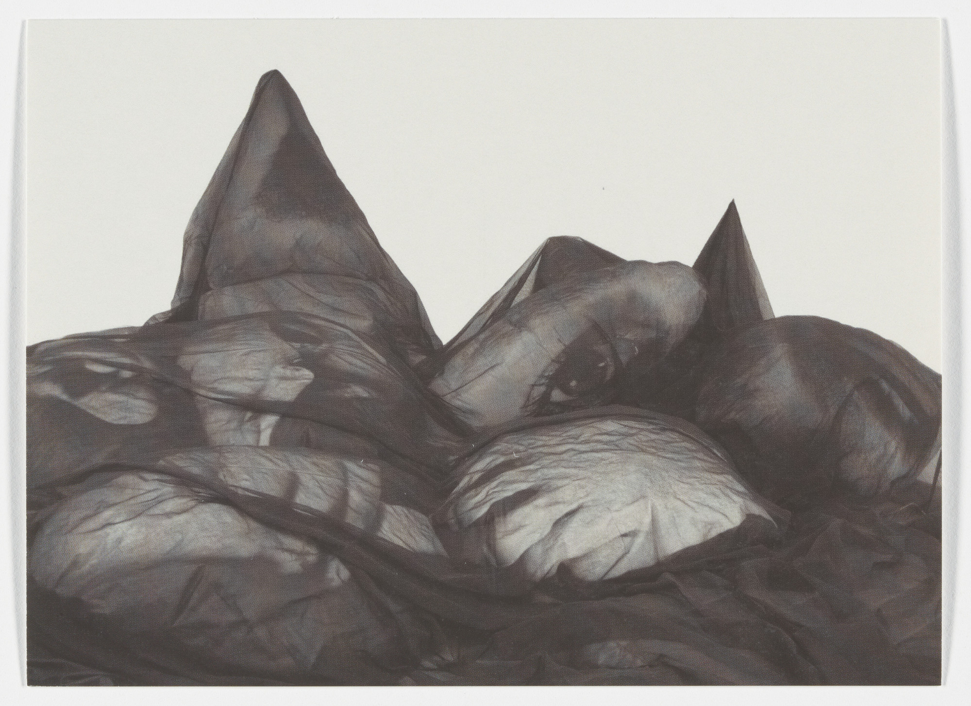 Annette Messager les messagers 洋書　作品集　画集 Annette Messager – Les Tortures Volontaires – 1972/2013 | art for