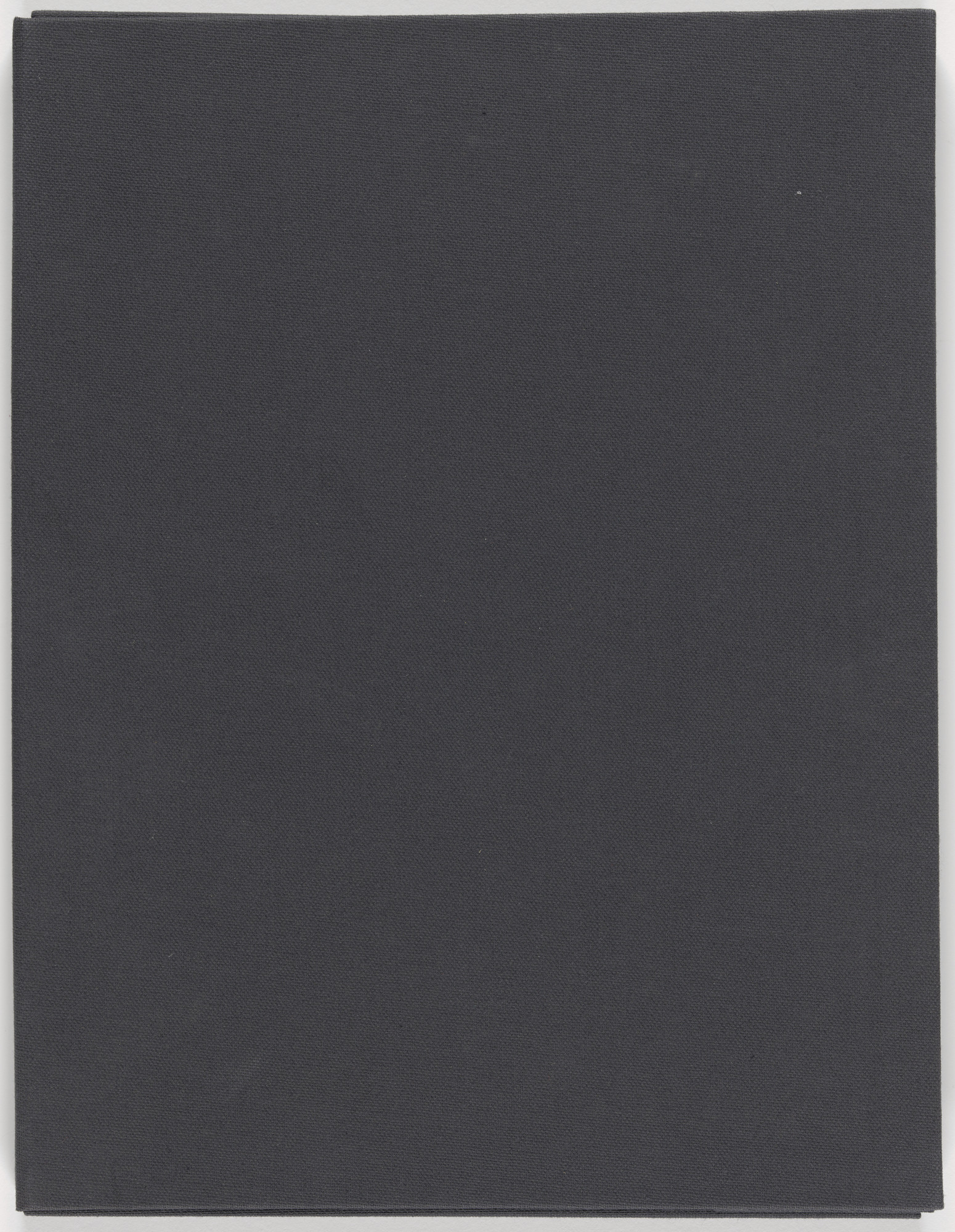 Christopher Wool. Untitled (Cats in Bag)