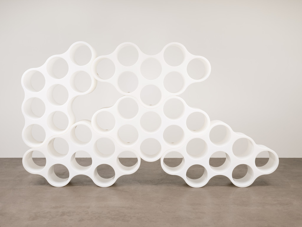 Nuages (Cloud) Bookcase