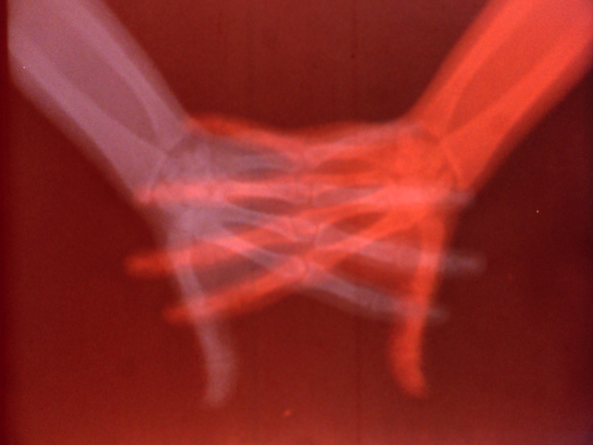 Barbara Hammer. Sanctus. 1990
