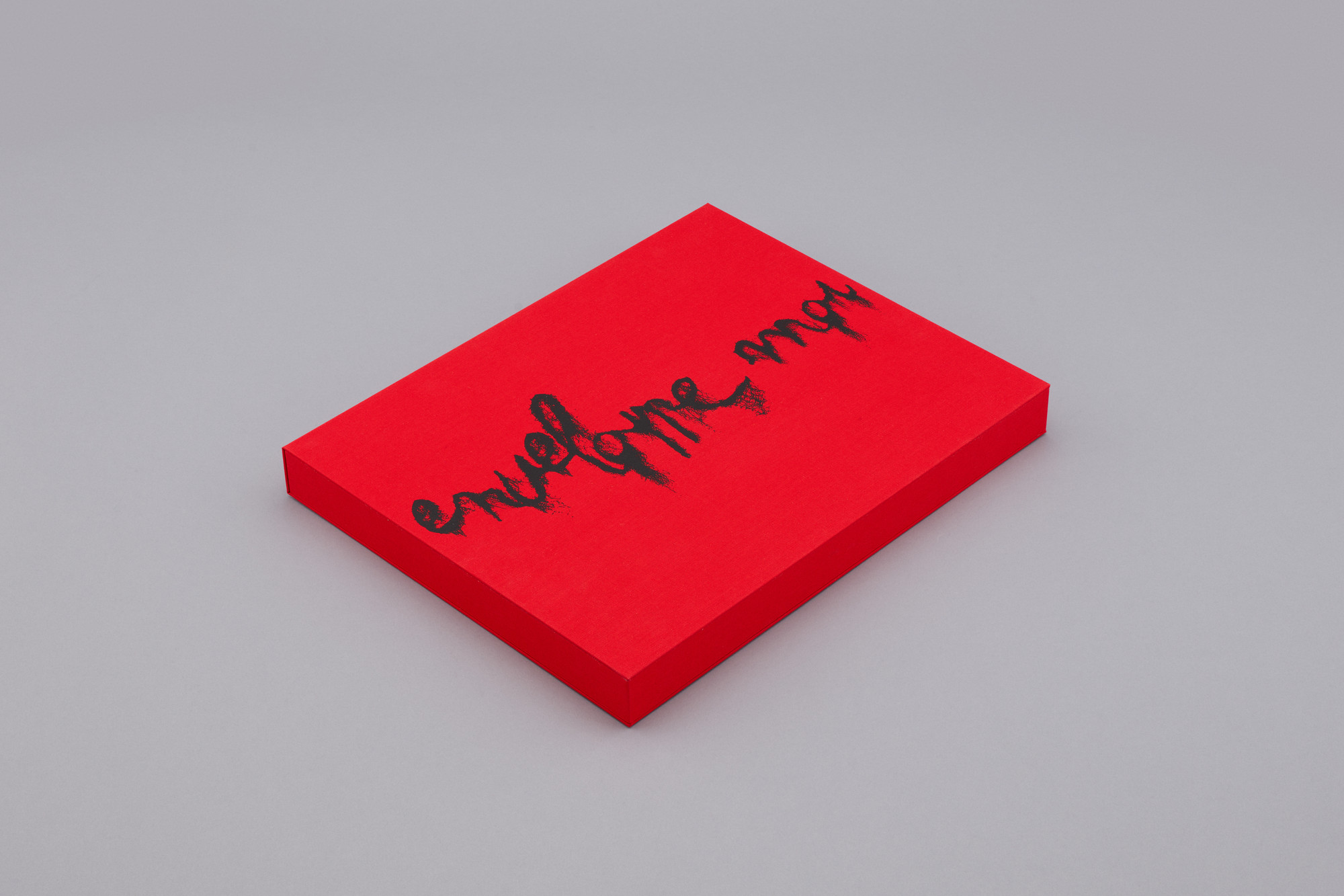 Annette Messager, Jean-Philippe Toussaint. Enveloppe-moi. 2013